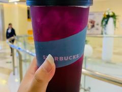 石榴仲夏梦-星巴克(厦门SM新生活广场店)