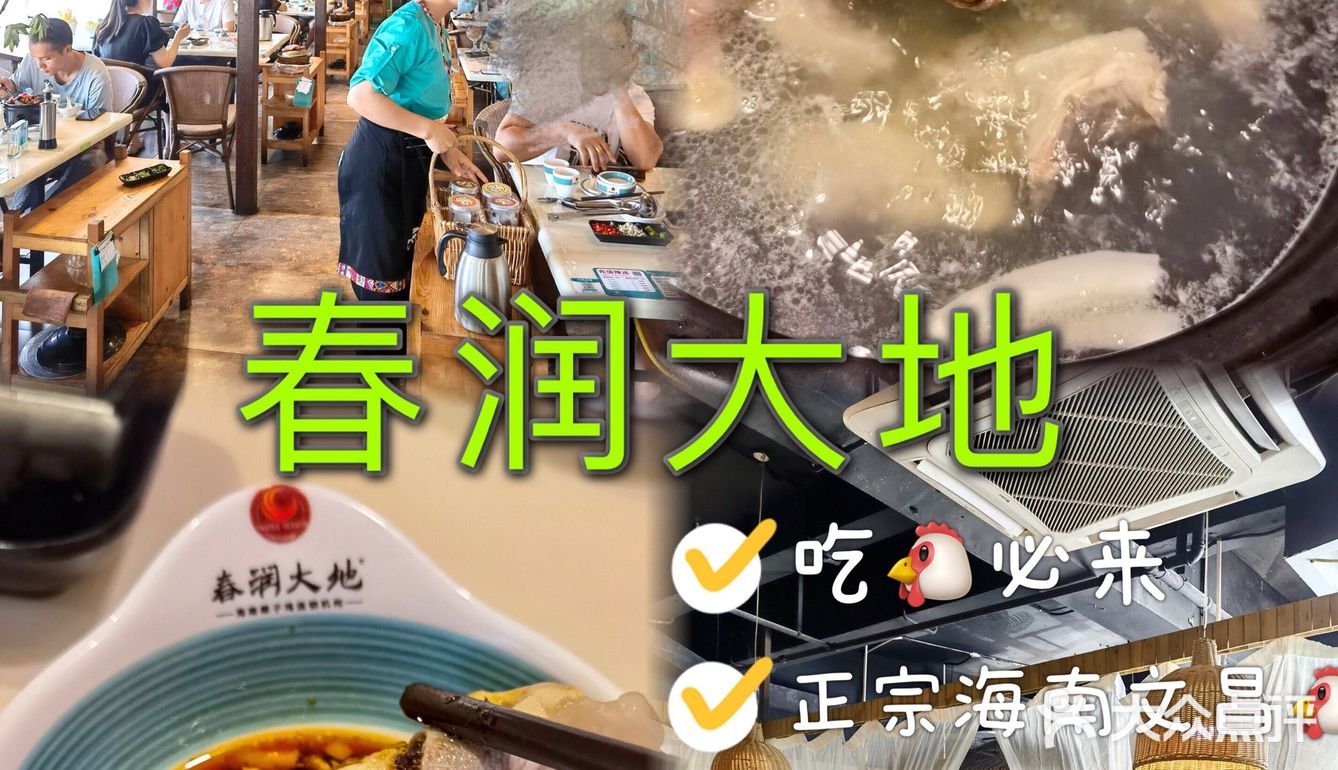 东莞探店｜吃椰子鸡 就想起老字号春润大地🐔