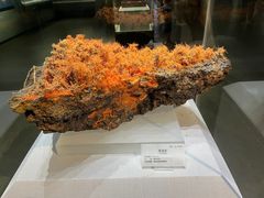 -湖南省地质博物馆