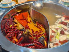 -金鼎雪山牦牛杂火锅(理县总店)