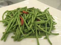 -孔庆璞河豚馆(白玉兰酒店)