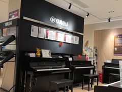 -雅歌音乐培训中心·钢琴培训·乐器培训(交道口店)