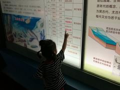 -上海昆虫博物馆