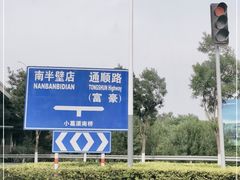 -东郊湿地公园