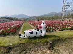 -盈香心动乐园