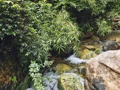 -南海湾森林生态园