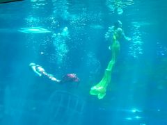 -福州罗源湾海洋世界旅游区