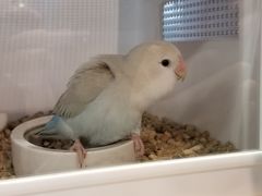 -宠物世家(仲盛世界商城店)