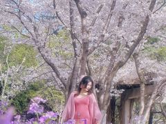 -白塘生态植物园