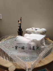 -珍贞佰俪·针清祛痘印敏感管理