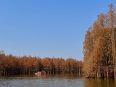 -尚湖风景区