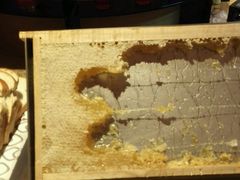 -上海东方佘山翰悦阁酒店·Vie全日制餐厅