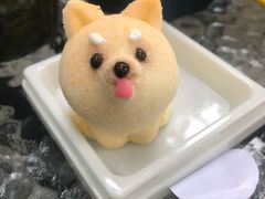 -柴犬高等学院·狗咖·柴犬售卖·宠物训练