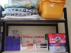-柚子猫舍·精品猫舍购猫·猫咪认养·购宠·宠物店
