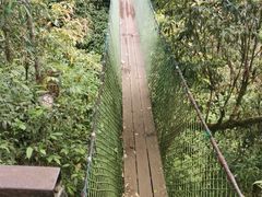 -云南屏边大围山国家公园