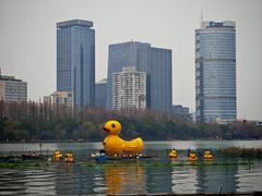 -锦江之星(南京新街口店)