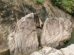 -广州白江湖森林公园