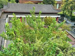-杭州西溪喜来登度假大酒店