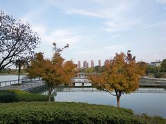 -白塘生态植物园