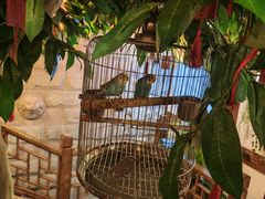 -杨记隆府(南坪店)