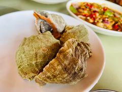 白灼花螺-三亚火车头万人海鲜广场