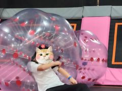 -嘿哟动霸CHUA·新潮玩运动娱乐中心·蹦床滑冰团建乐园