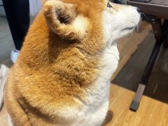 -小时光咖啡馆(开森度假森林店)