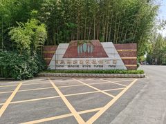 -日照海滨国家森林公园