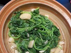 -纯阳•六两酒馆