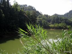 -千岛湖龙川湾