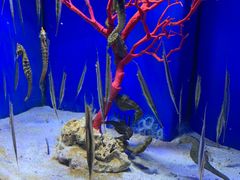 -多彩贵州城极地海洋世界