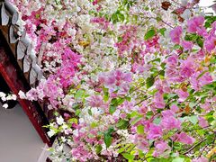 -深圳国际园林花卉博览园