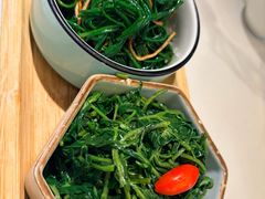 清香枸杞苗-国强手抓(西夏区店)