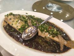 -温州王朝大酒店-自助餐厅