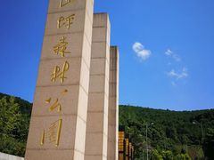 -铁山坪森林公园