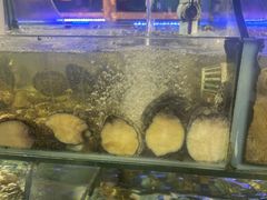 -友强·23年特色海鲜大排档(厦门店)