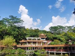 -深圳仙湖植物园