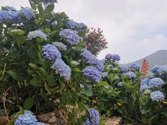 -嵛山岛