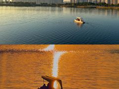-洋湖国家湿地公园