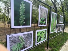 -野鸭湖国家湿地公园