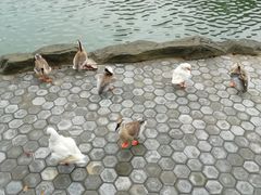 -广州市帽峰山景区