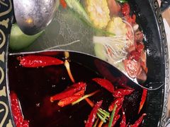 -小志家.鲜牦牛肉牛杂火锅野生菌汤锅