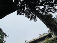 -潭柘寺景区