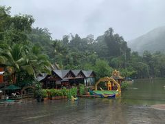 -西双版纳原始森林公园