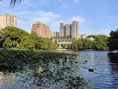 -荔湾湖公园