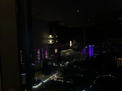 -长沙柏悦酒店