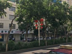 -乌鲁木齐市第二十三中学
