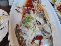 -津菜宋记老房子(鼓楼店)