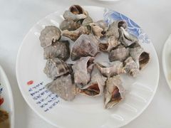 -北戴河庆山饭店·海鲜砂锅粥(北戴河黑石路店)