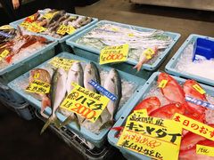 -海鮮寿司とれとれ市場